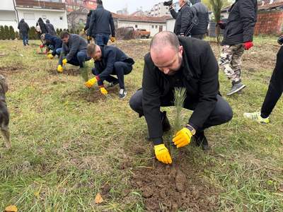 Nove sadnice u opštini Mladenovac